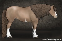 Horse Color:White Spotted Black Pearl