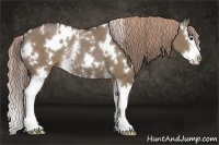 Horse Color:White Spotted Liver Red Dun Splash Rabicano