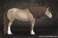 Horse Color:White Spotted Black Pearl Rabicano