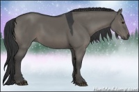 Horse Color:Grullo Sabino Rabicano