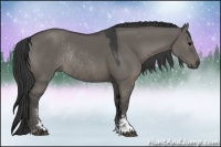 Horse Color:Grullo Sabino Rabicano