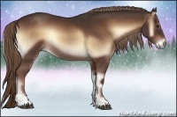 Horse Color:Red Onyx Sabino Rabicano