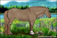 Horse Color:Liver Red Dun Sabino Rabicano