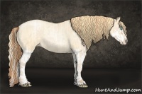Horse Color:Buckskin Roan Pearl and Buckskin Roan Pearl Splash