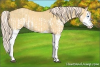 Horse Color:Palomino Dun Splash  and Gold Cream Champagne Dun Splash 