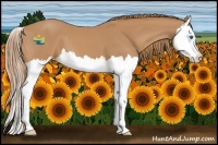 Horse Color:Chestnut Splash 