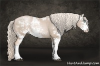 Horse Color:Chocolate Palomino Pearl Sabino Rabicano