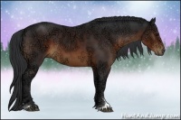 Horse Color:Brown Ice Sabino 