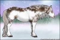 Horse Color:Silver Brown Ice Onyx Sabino Splash Frame