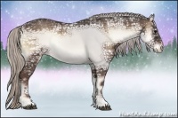Horse Color:Silver Blue Onyx Ice Sabino