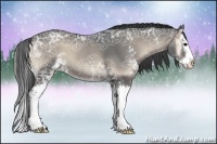 Horse Color:Blue Onyx Ice Sabino Splash