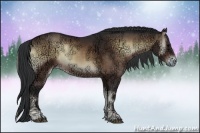 Horse Color:Brown Ice Onyx Sabino