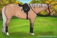 Horse Color:Silver Bay Roan 