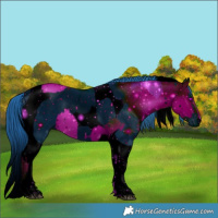 Horse Color:ERROR: UNKNOWN ANOMALY and ERROR: UNKNOWN ANOMALY