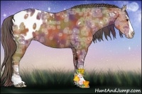 Horse Color:Nacre Liver Chestnut Ice Sabino Appaloosa Rabicano