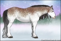 Horse Color:White Spotted Bay Ice Onyx Splash Rabicano 