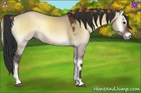 Horse Color:Brown Onyx