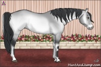 Horse Color:Brown Chinchilla Onyx 