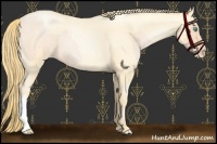 Horse Color:Buckskin Roan Pearl and Buckskin Roan Pearl