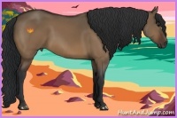 Horse Color:Brown Dun