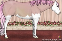 Horse Color:Watercolor Buckskin Dun Splash