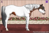 Horse Color:Brown Tobiano Frame 