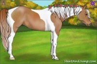 Horse Color:Chestnut Tobiano 