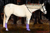 Horse Color:Buckskin Roan Pearl  and Buckskin Roan Pearl Splash 
