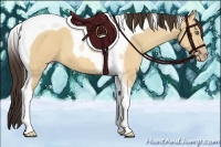 Horse Color:Amber Champagne Dun Tobiano 