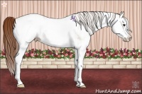 Horse Color:White Spotted Chestnut Ice Splash