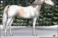 Horse Color:White Spotted Silver Bay Pearl Splash Tobiano 