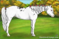 Horse Color:Silver Black Chinchilla Sabino Splash Rabicano 