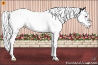 Horse Color:Silver Brown Chinchilla Splash Tobiano 