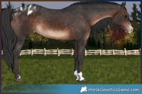 Horse Color:Brown Varnish 