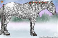 Horse Color:Black Appaloosa Rabicano 