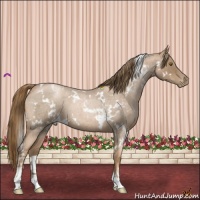 Horse Color:White Spotted Liver Red Roan Pearl 