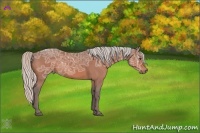 Horse Color:Silver Brown Ice Roan 