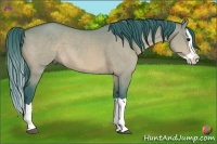 Horse Color:Watercolor Bay Dun Splash