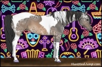 Horse Color:Buckskin Ice Tobiano