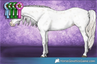 Horse Color:White Spotted Liver Red Dun Pearl Mushroom Sabino Splash Rabicano Brindle
