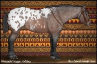 Horse Color:Brown Roan Appaloosa 
