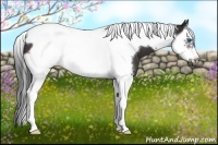 Horse Color:Brown Splash Tobiano Frame 