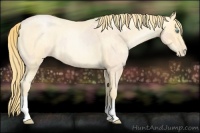 Horse Color:Buckskin Roan Pearl and Buckskin Roan Pearl