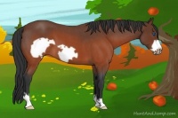 Horse Color:Brown Roan Frame