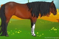 Horse Color:Brown 