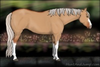 Horse Color:Silver Bay Dun