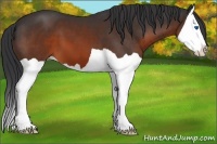 Horse Color:Brown Splash
