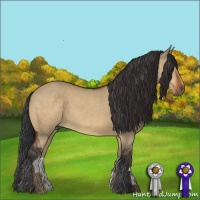 Horse Color:Brown Dun 
