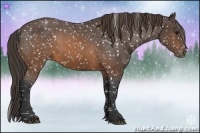 Horse Color:Brown Snowflake Varnish Rabicano 