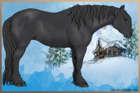 Horse Color:Black Rabicano 